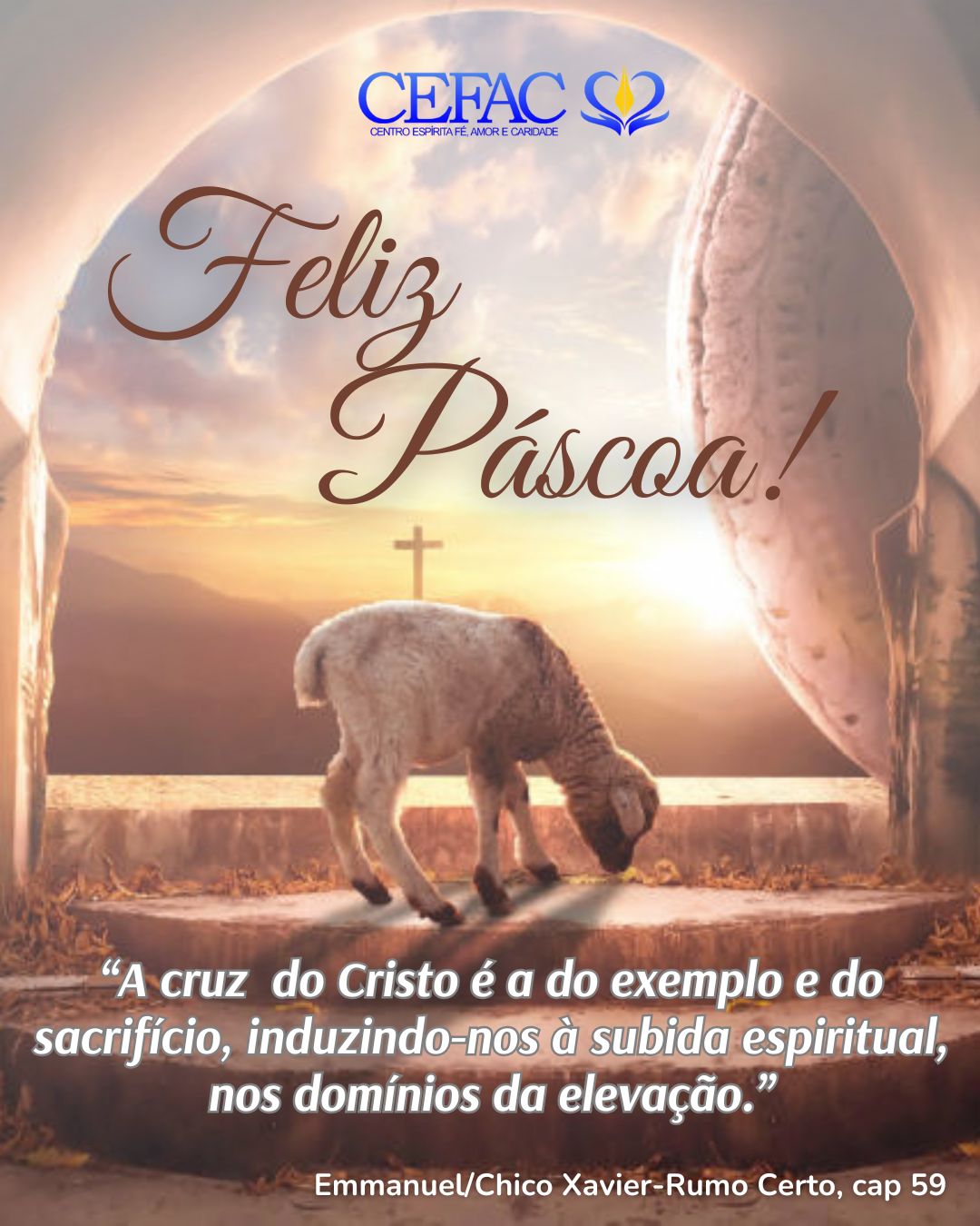 A morte é renovação…