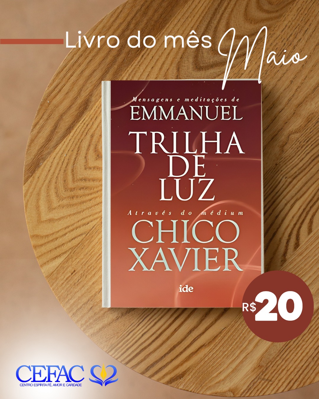 Nosso livro do mês já chegou!