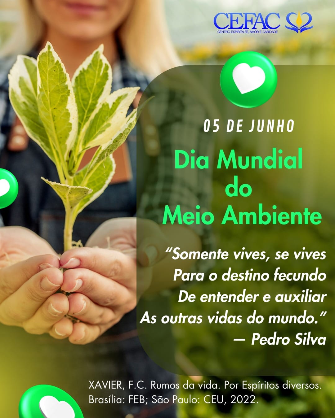 Nossa Terra, nossa casa!