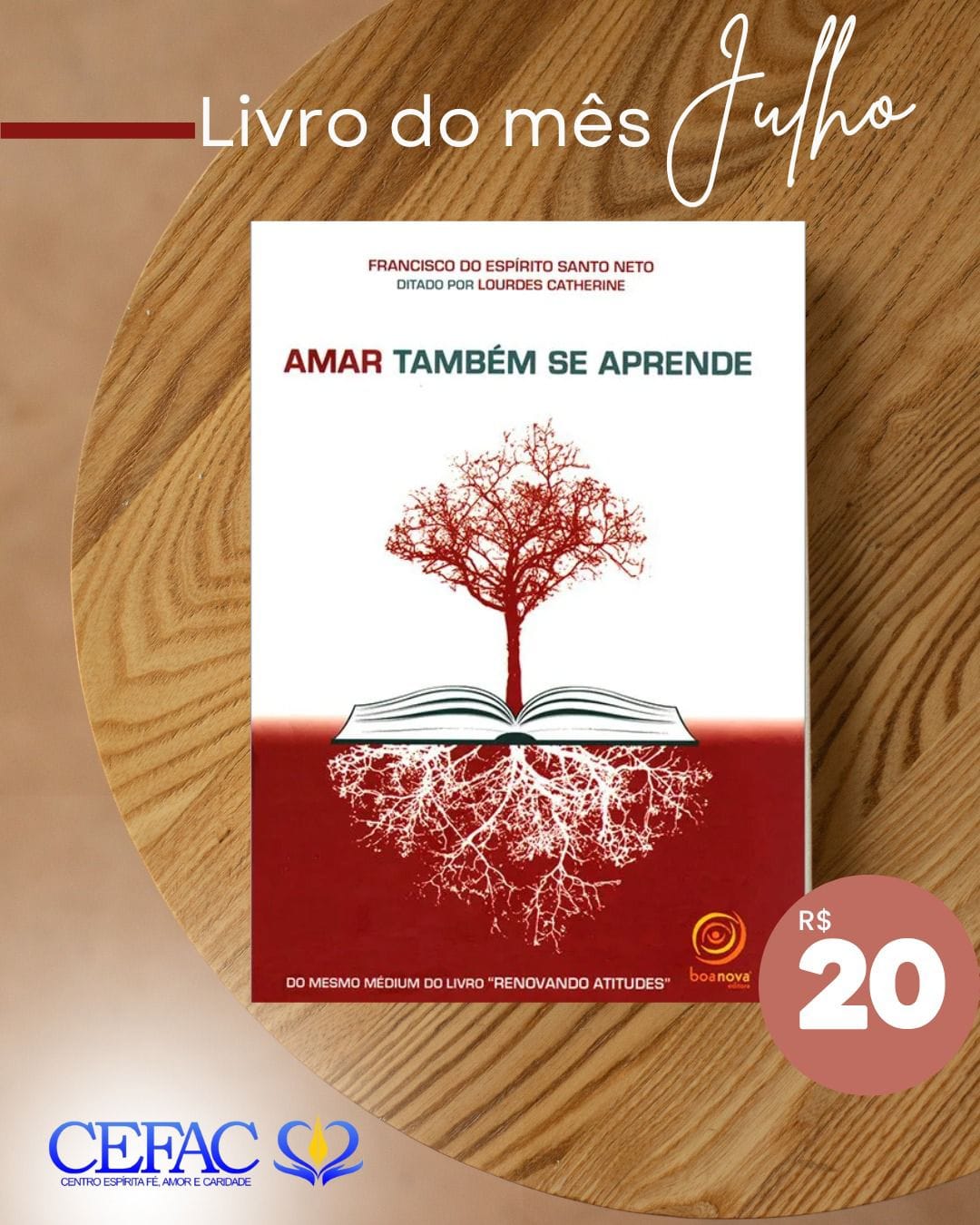 Livro do mês já está disponível em nossas livrarias!