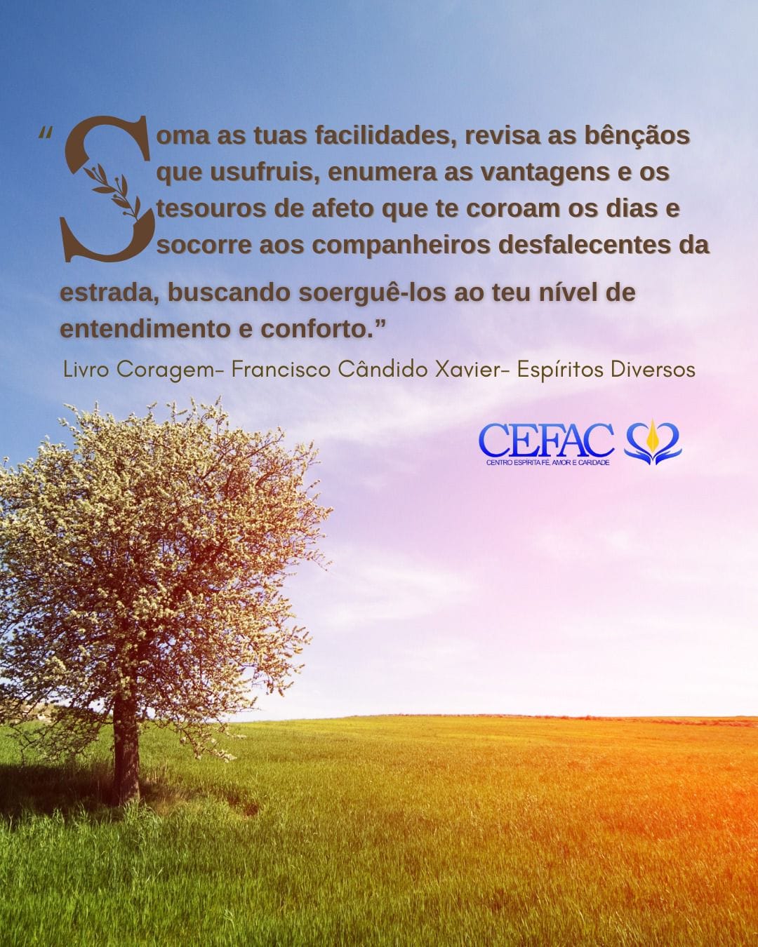 Uma mensagem para você