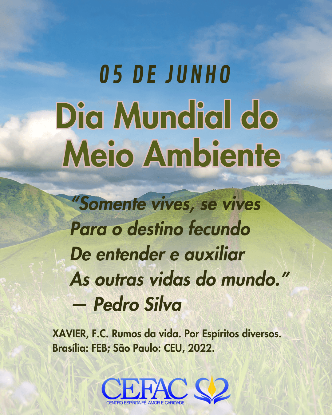 Dia Mundial do Meio Ambiente